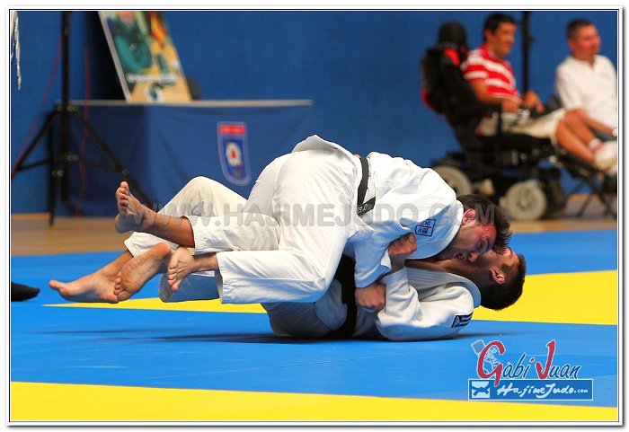 MOGENA 2013 0010